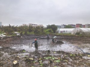 中阳河道鱼塘清淤